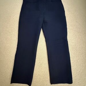 Ann Taylor Dark Navy Trousers in Petite Devin Fit